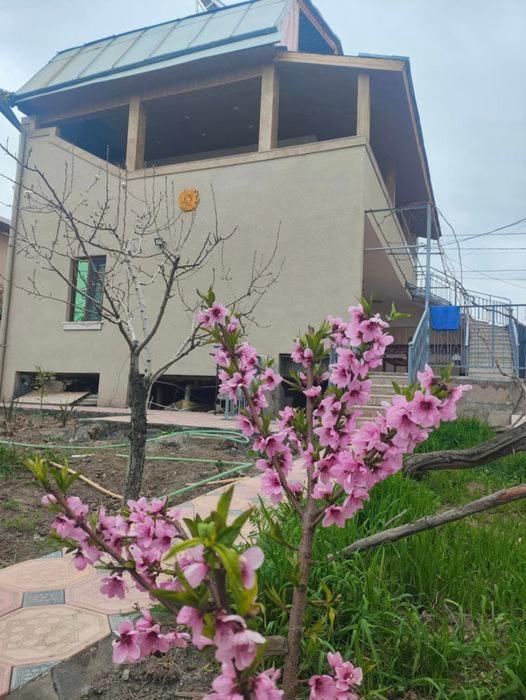 Apex Rest House Villa Yerevan Bagian luar foto